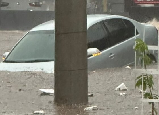 Goiânia registra chuva de grazino, alagamentos, quedas de árvores e transtornos