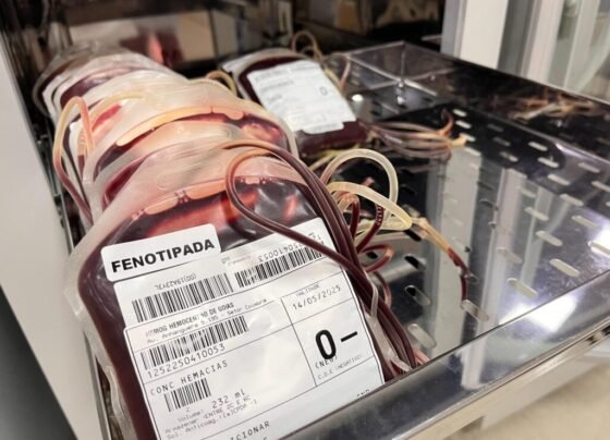 Doação de sangue na Rede Hemo