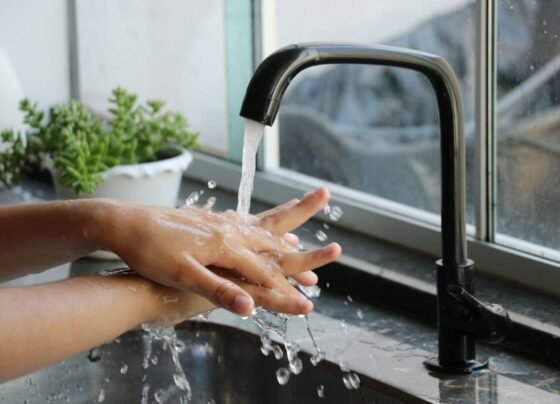 Programa Sanear é prorrogado até 30 de dezembro