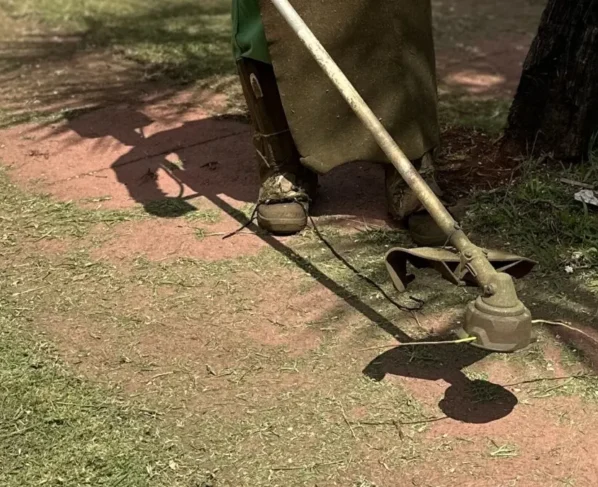 Juíza manda Goiânia indenizar morador que ficou cego após pedra lançada por roçadeira
