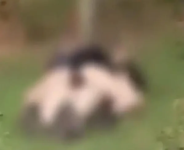 Mulher estava deitada sobre o homem - (Foto: reprodução)