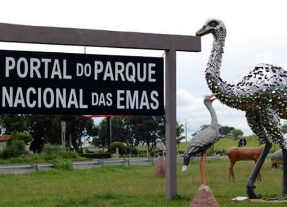 Começa instalação de 40 pontos de Wi-Fi público para fortalecer o turismo