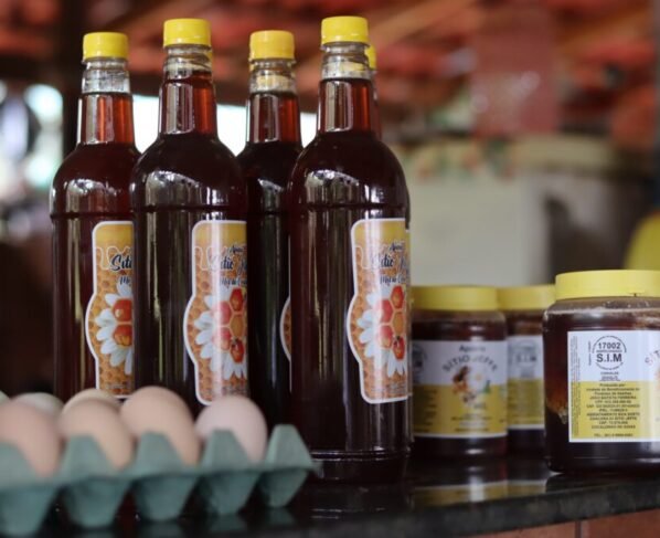 Termina nesta quinta-feira prazo para cadastro em projeto de melhoria de agroindústrias do Governo de Goiás