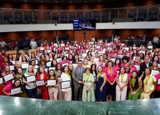 Em  sessão promovida pelo deputado  Cristóvão Tormin neste sábado, 7, Parlamento goiano celebra o protagonismo feminino
