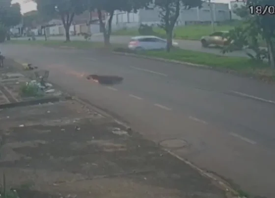 Entregador por aplicativo é arremessado após ser atingido por carro no Parque das Flores, em Goiânia