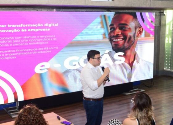 Governo de Goiás investe até R$ 380 mil para solucionar desafios de pequenas empresas