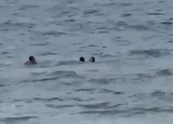 Bombeiro resgatando casal - (Foto: reprodução/redes sociais)